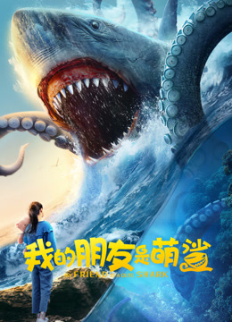 我的朋友是萌鲨}