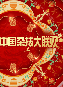 河南卫视2025年中国杂技大联欢}