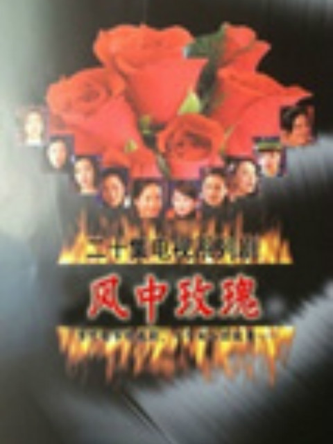 风中玫瑰}