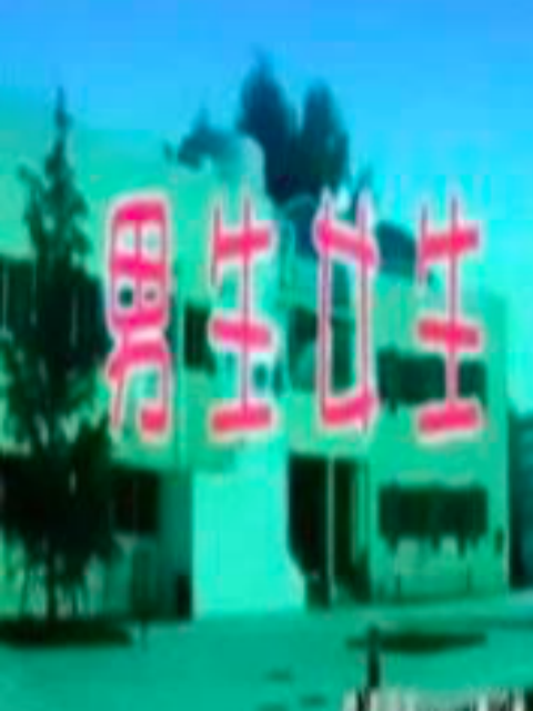 男生女生}