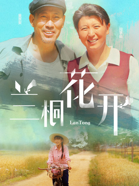 兰桐花开}