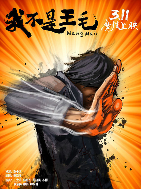 我不是王毛}