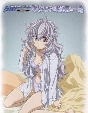 全金属狂潮 TSR OVA 战队长悠闲的一天}