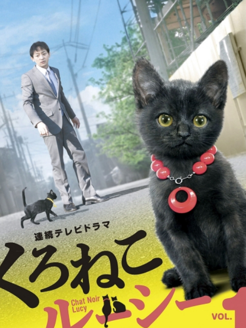 黑猫露西}