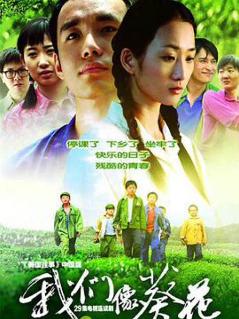 我们像葵花}