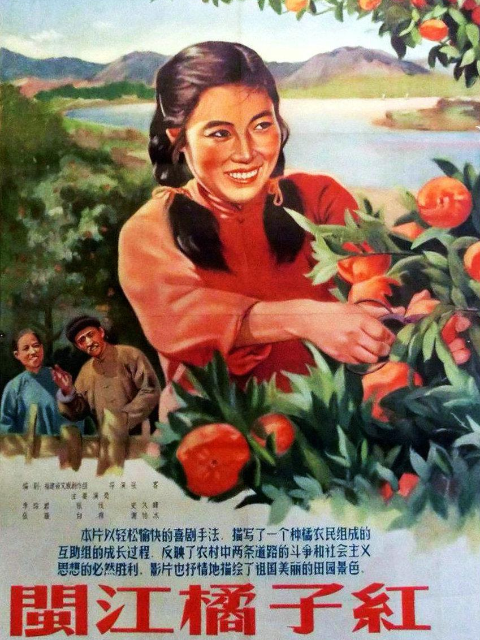 闽江橘子红}