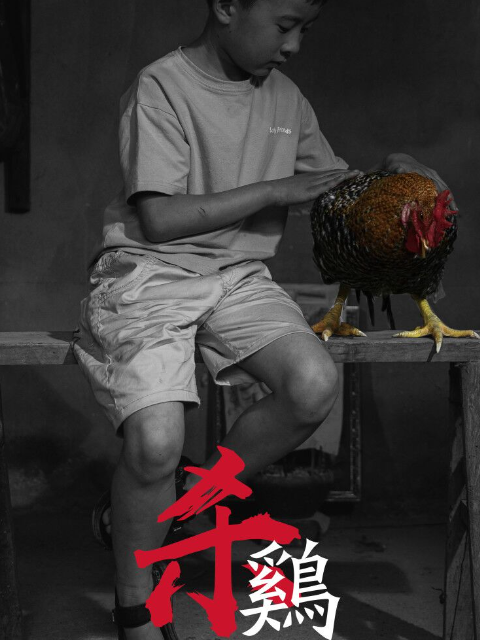 杀鸡}