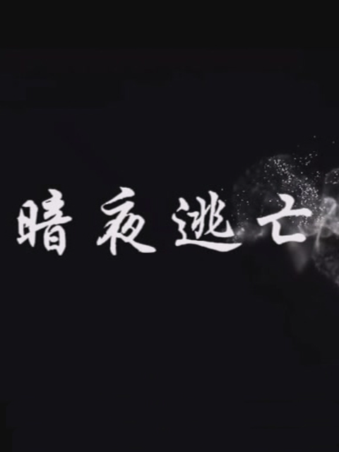 暗夜逃亡}