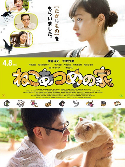 猫咪后院之家}