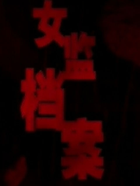 女监档案}