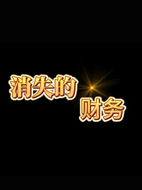 消失的财务}