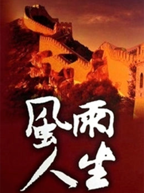 风雨人生}