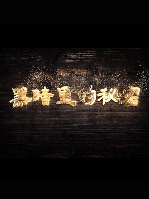 黑暗里的秘密}