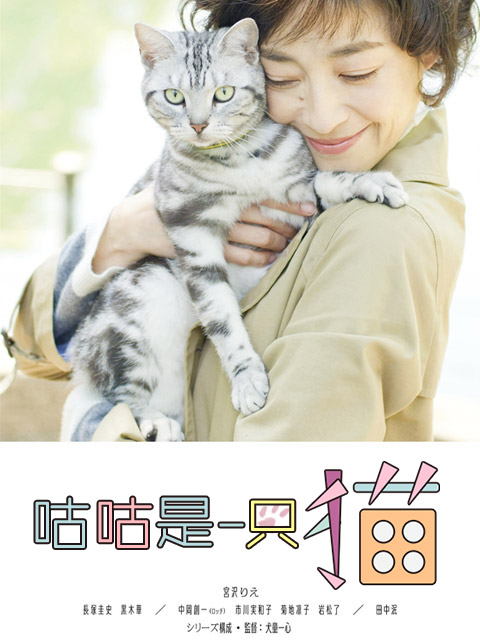 咕咕是一只猫}