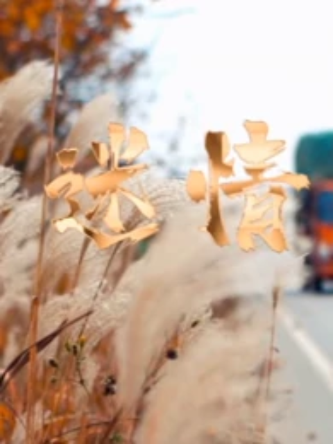 迷情}