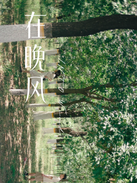 在晚风}