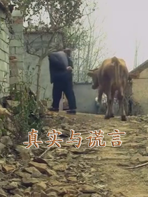 真实与谎言}