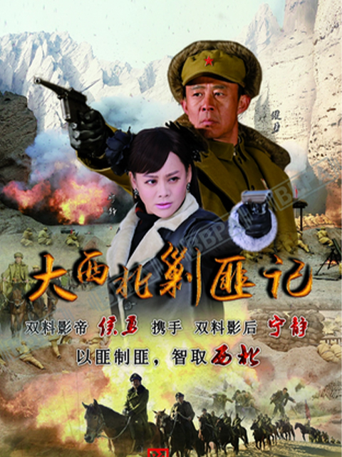 大西北剿匪记}