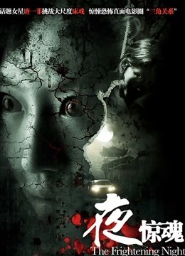 夜惊魂（2011）}