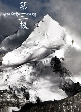 第三极}
