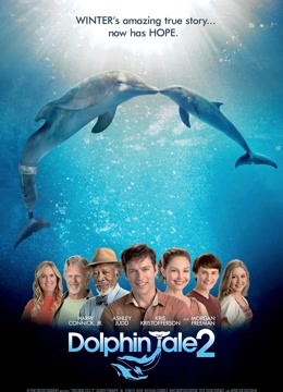 海豚的故事2}