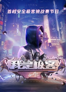 我是极客}