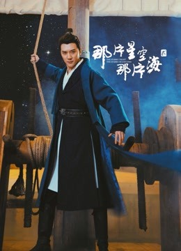 那片星空那片海2DVD版}