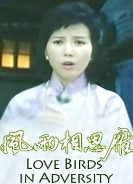 风雨相思雁}