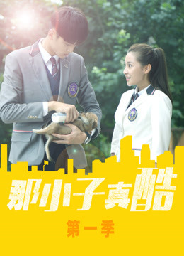 那小子真酷第一季}
