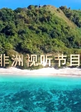 首届非洲视听节目展播季}