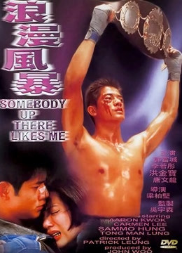 浪漫风暴（1996）}