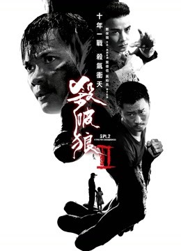 杀破狼2}