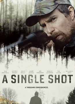 致命一击（2013）}