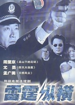 雷霆纵横}