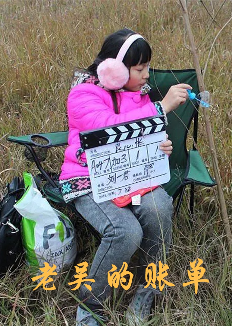 老吴的账单}