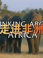 忆起非洲}