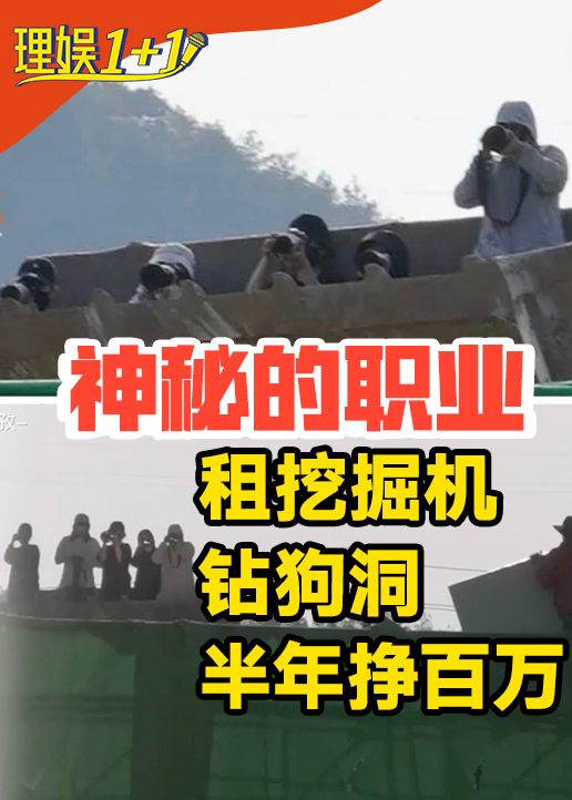 理娱1 1}