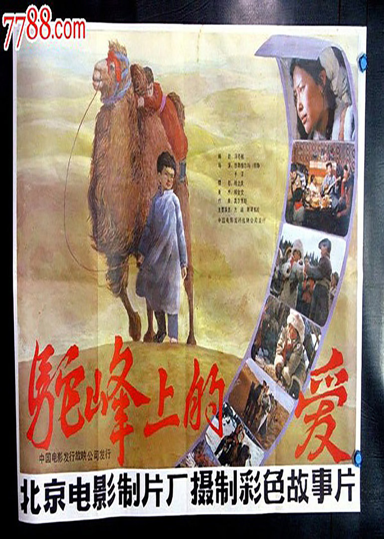 驼峰上的爱}