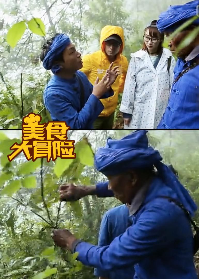 旅行家}