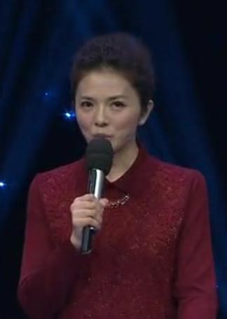 中国灯谜大会}