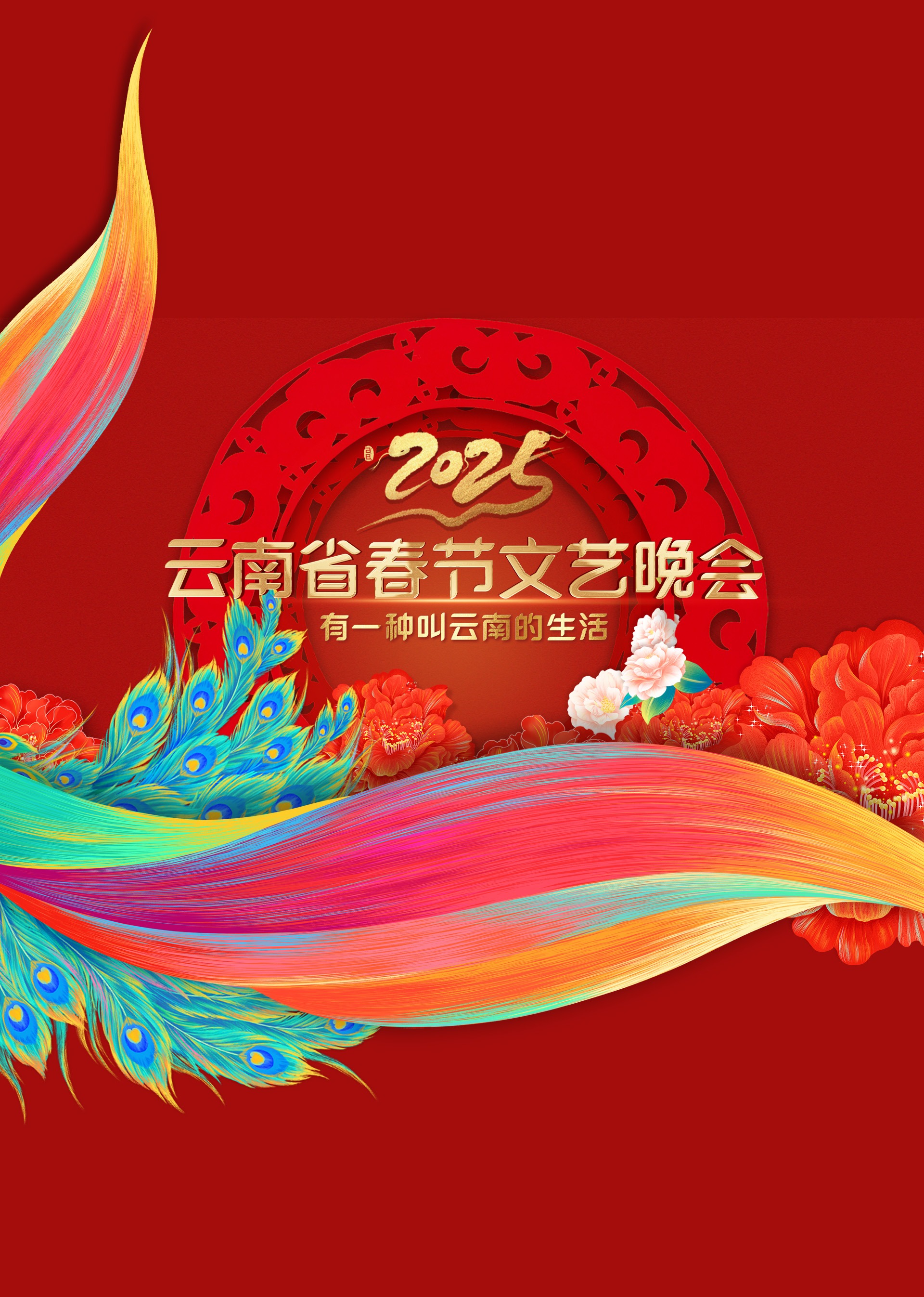 2025年云南省春节联欢晚会}